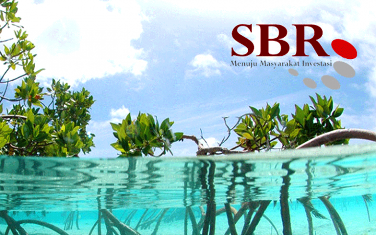 SBR 002 – Saat Konservasi Hutan Mangrove Menjadi Opsi Investasi